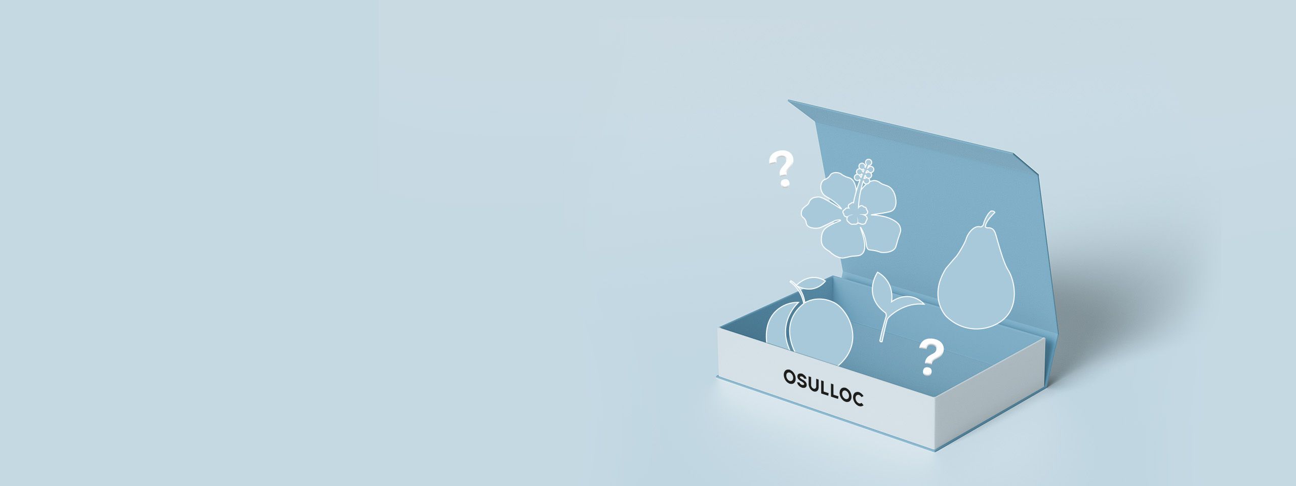 100% 당첨 <br>오설록 썸머 럭키드로우 