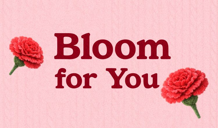 감사의 달 기념 <br>1,900원 카네이션 화분 특가