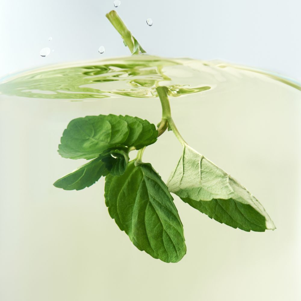 [무카페인] 페퍼민트 브리즈 10입