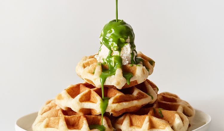 오설록 티푸드 페스타! 최대 33%