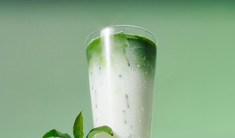 오설록, 말차의 본질을 만나다 <br>말차기획전 20%