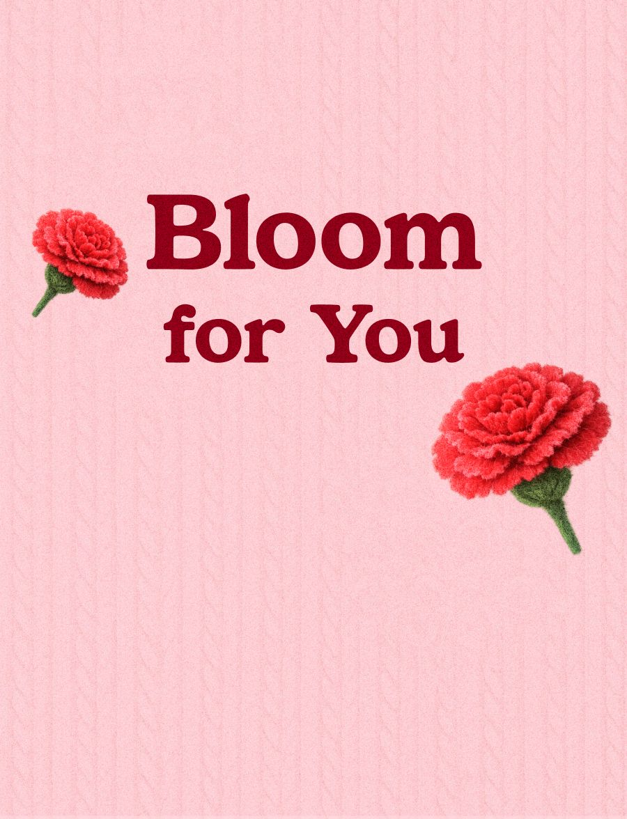 감사의 달 기념 <br>1,900원 카네이션 화분 특가