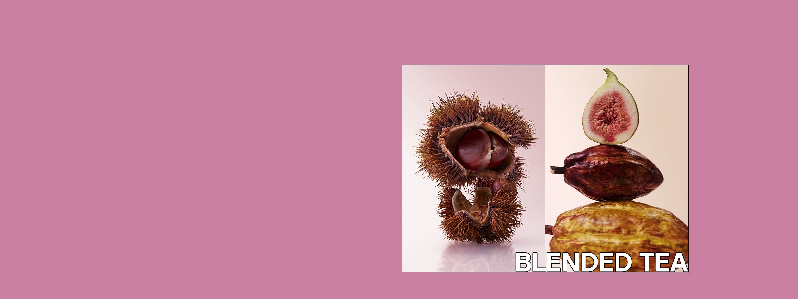 신제품 런칭 기념 <br>블렌디드 5종 8,800원