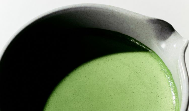 말차 특별전 전품목 행사 <br>인기 사은품 증정까지!