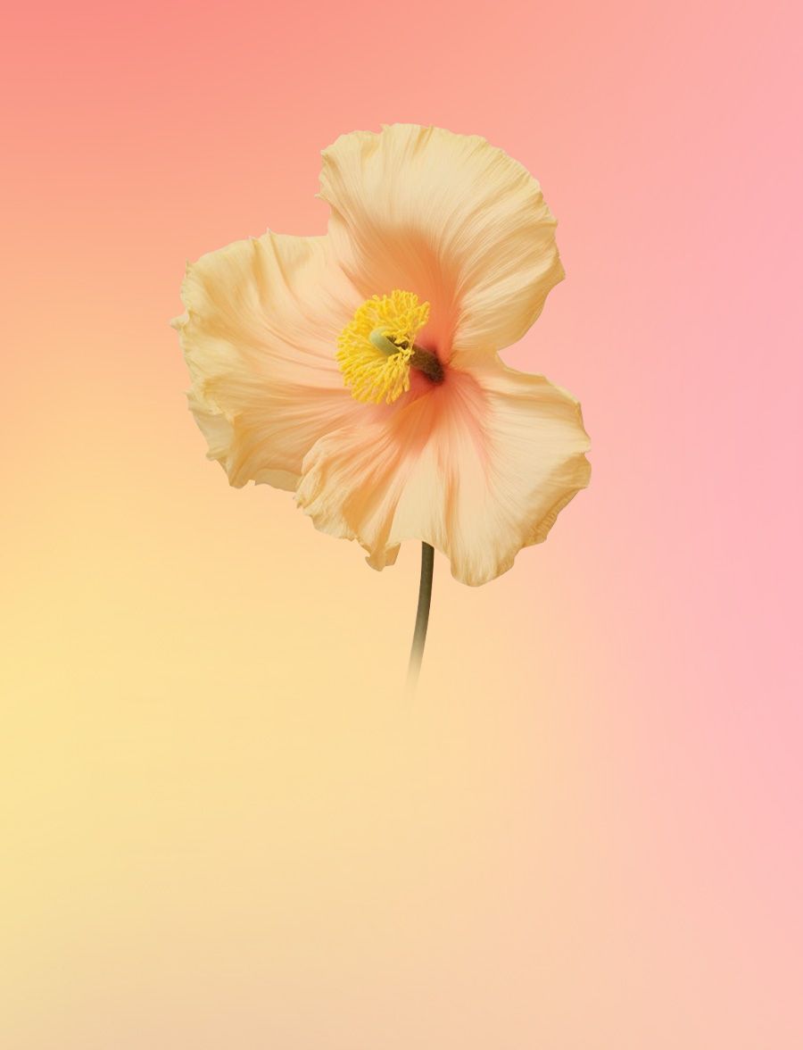 Colorful Life, <br>나만의 색을 찾아서