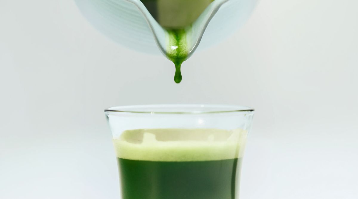 Green Green🌱 말차 셀렉션 최대 20%