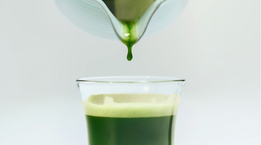 Green Green🌱 말차 셀렉션 최대 20%