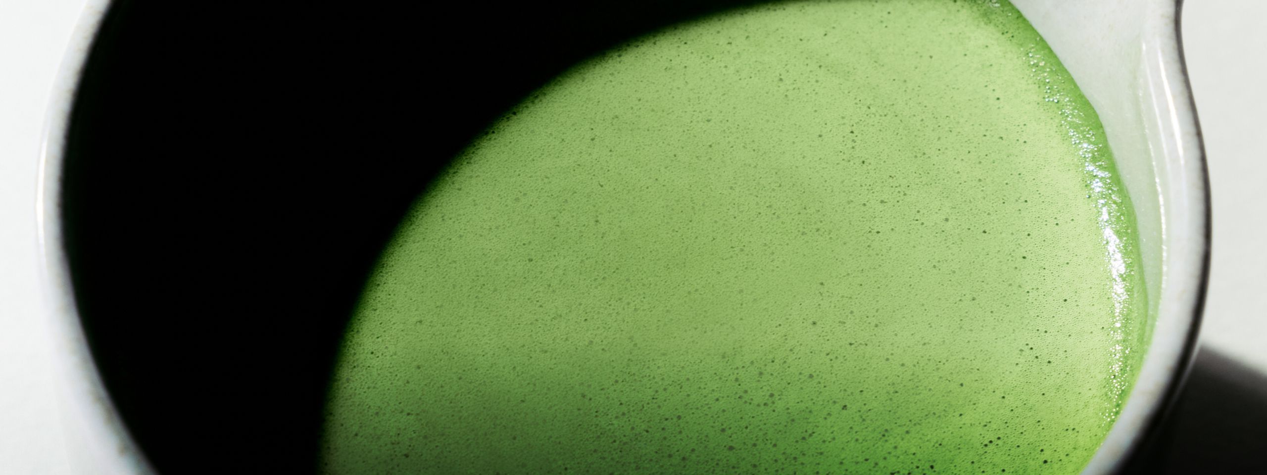 말차 특별전 최대 33% <br>인기 사은품 증정까지!