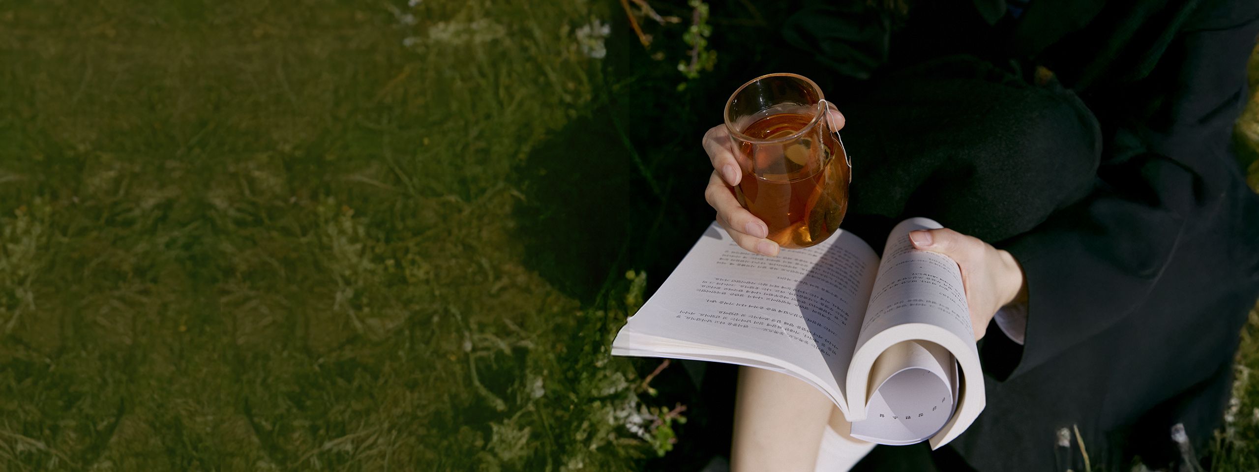 오설록 티 크리에이터 5기 모집