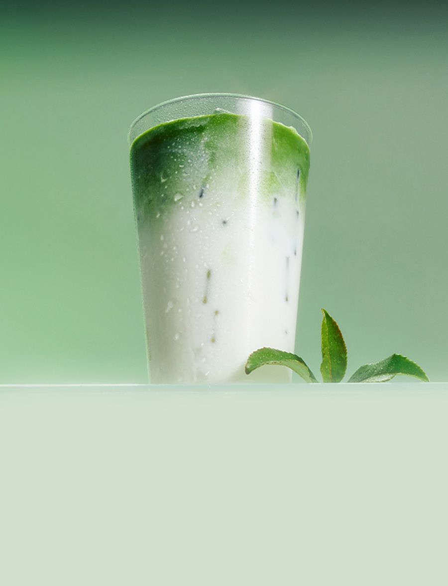 오설록, 말차의 본질을 만나다 <br>말차기획전 20%