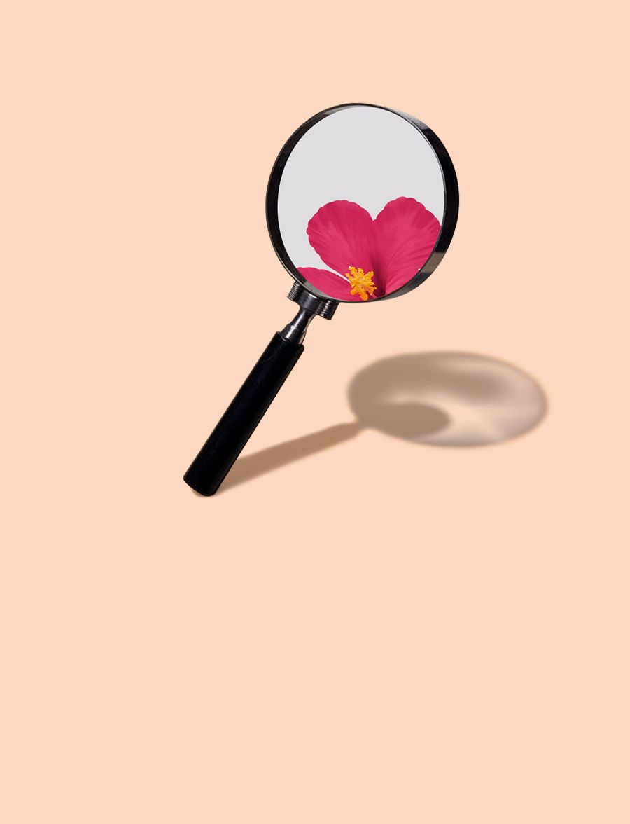 숨겨진 오설록 꿀템을 찾아라!