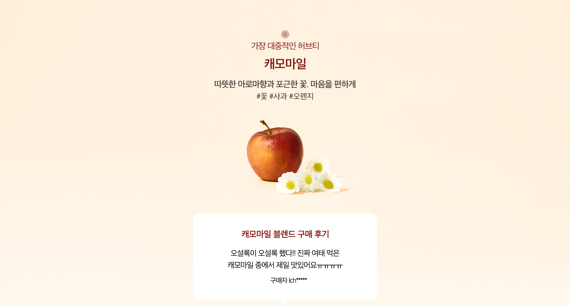 가장 대중적인 허브티, 캐모마일