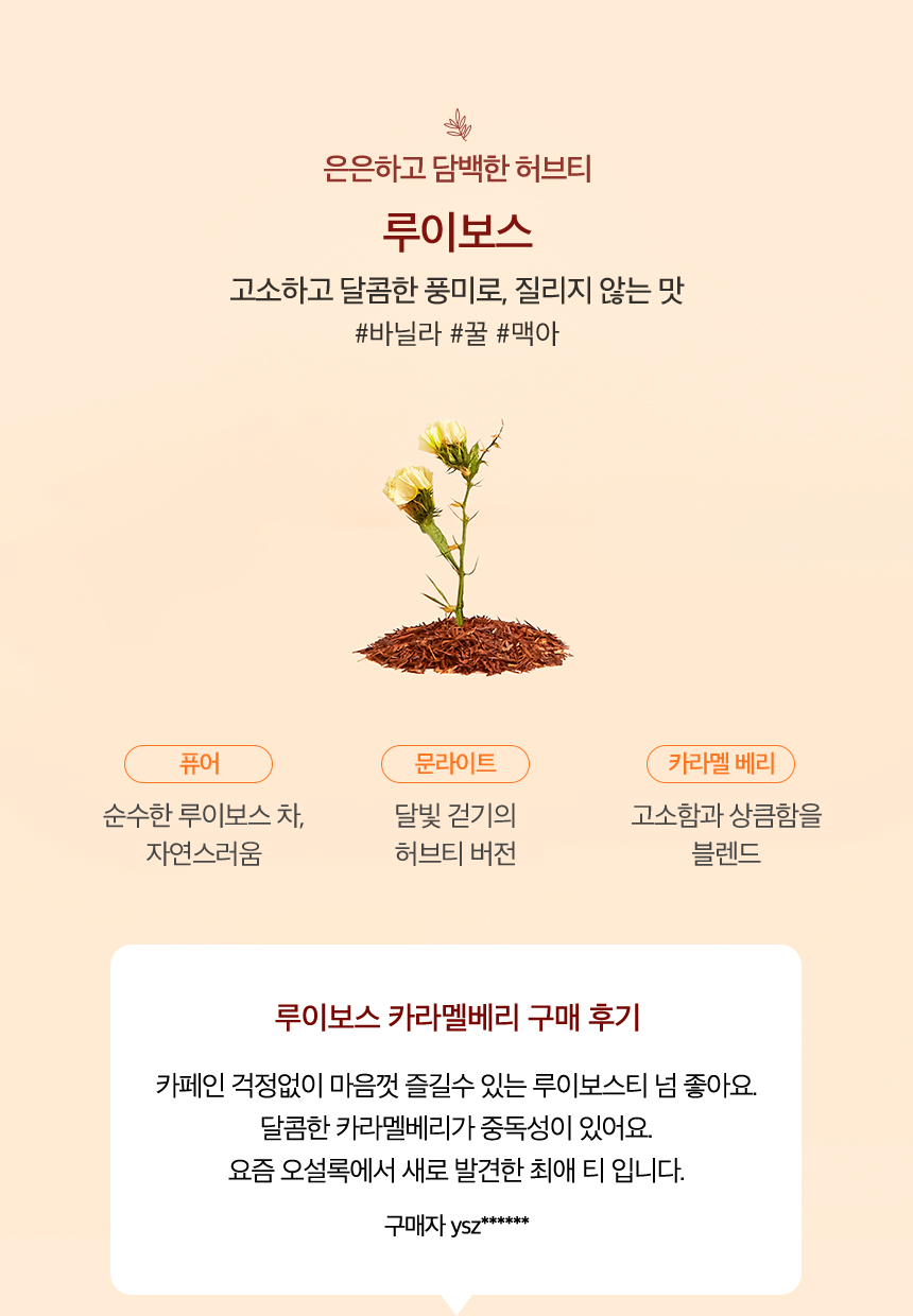 은은하고 담백한 허브티, 루이보스