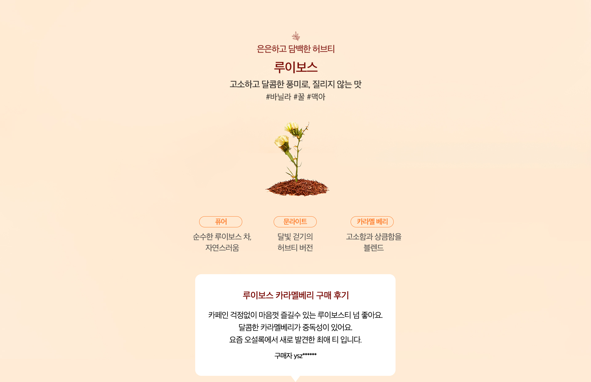 은은하고 담백한 허브티, 루이보스