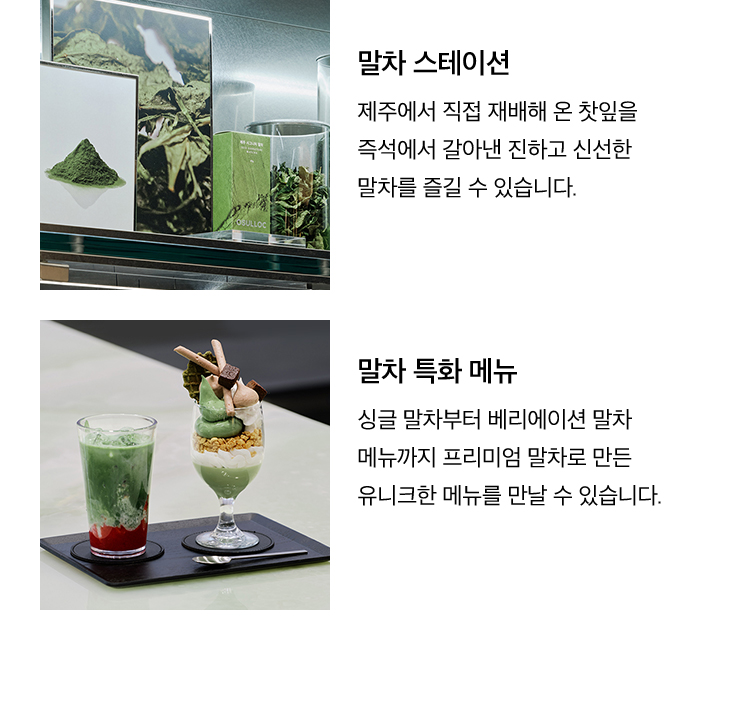 MATCHA IN STORE