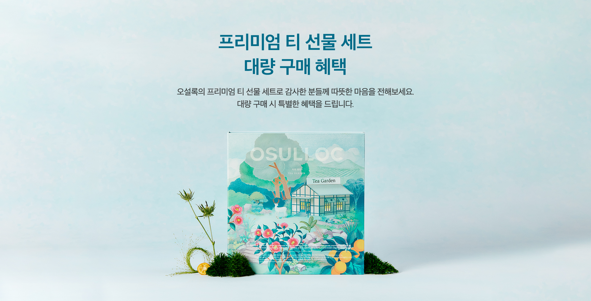 오설록 프리미엄 티 선물 세트 대량 구매 혜택