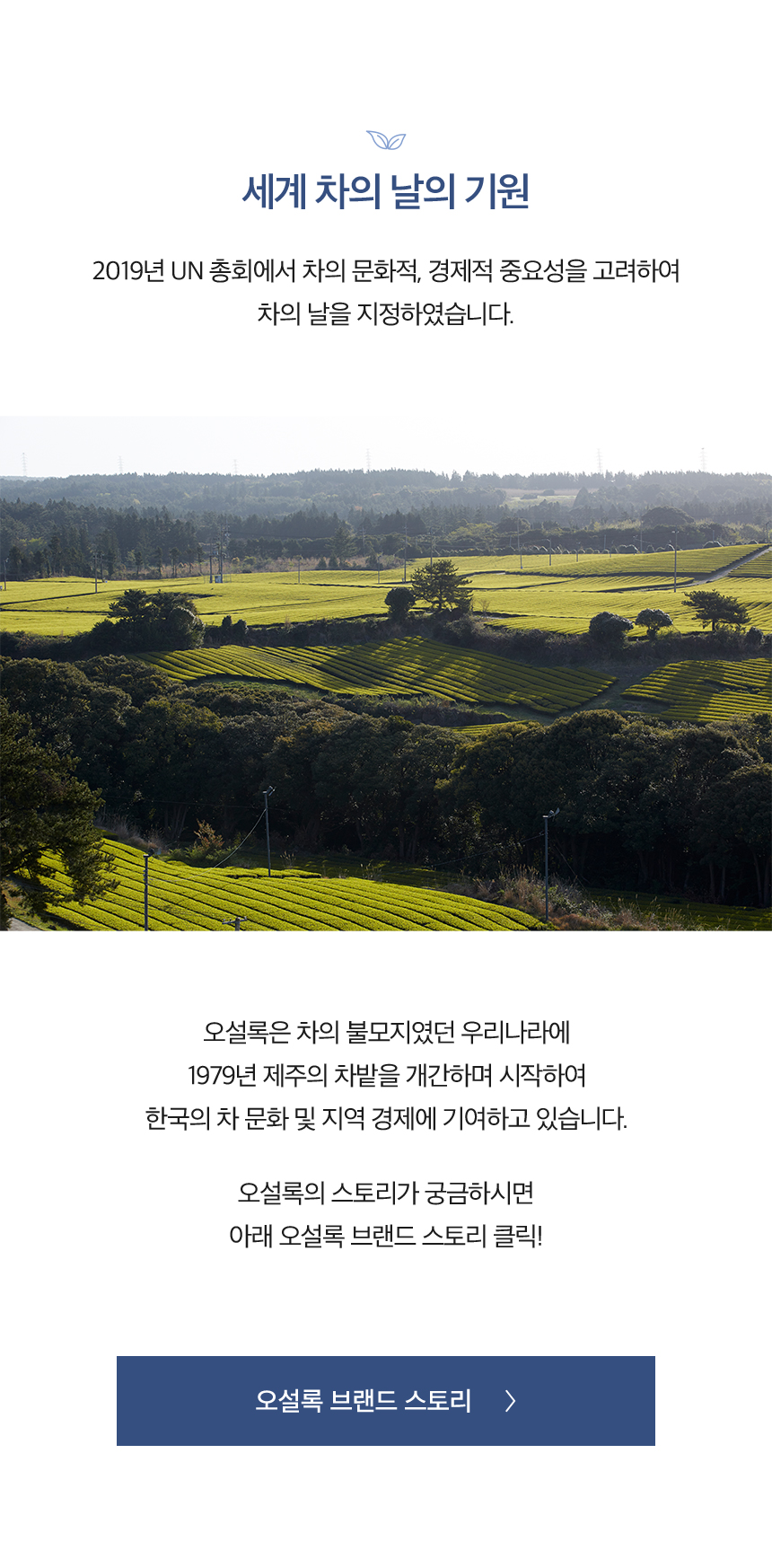 세계 차의 날의 기원