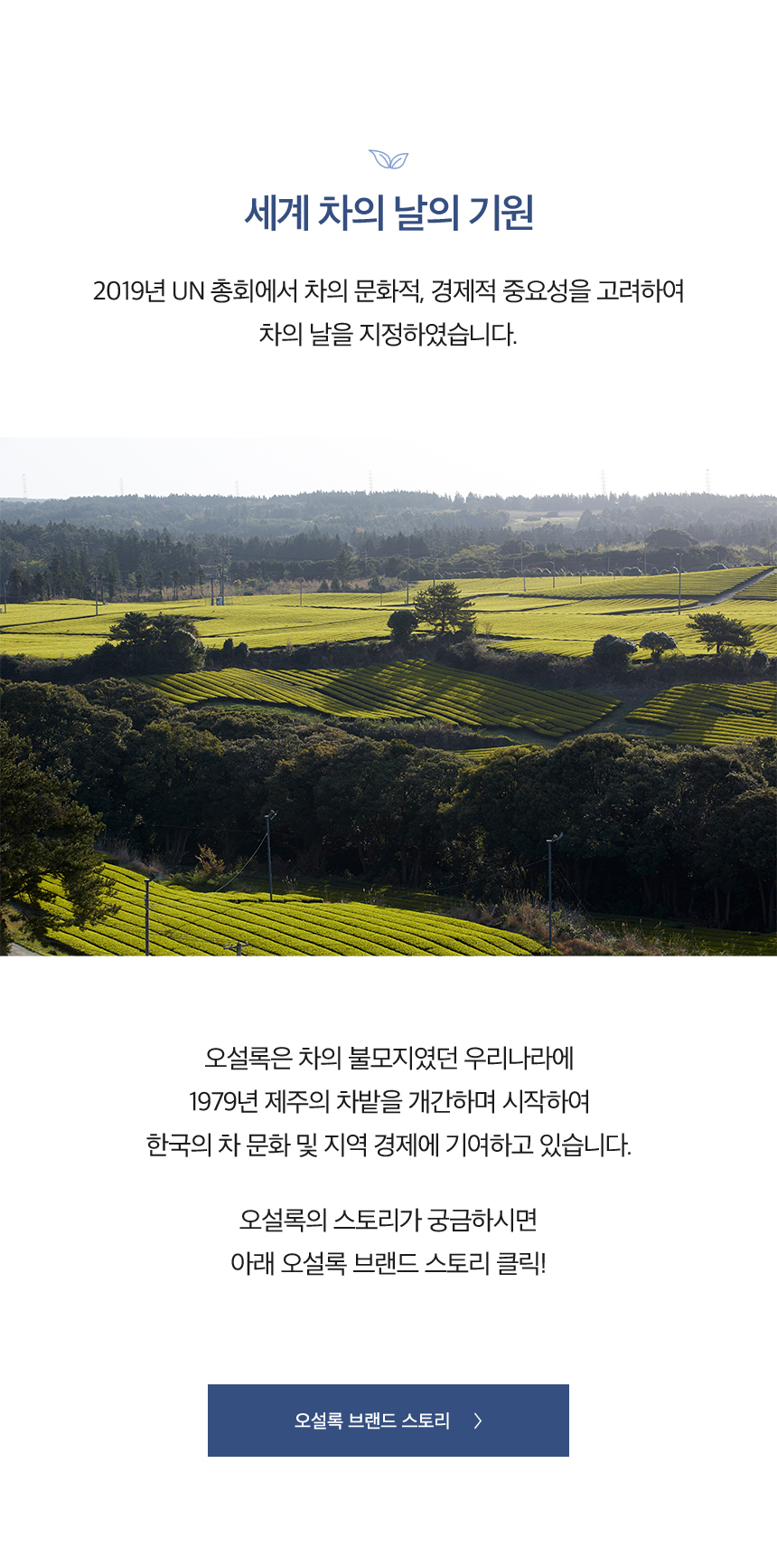 세계 차의 날의 기원