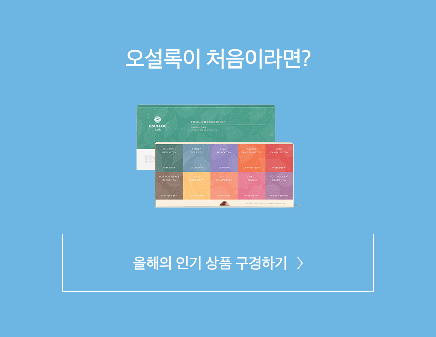 오설록이 처음이라면?