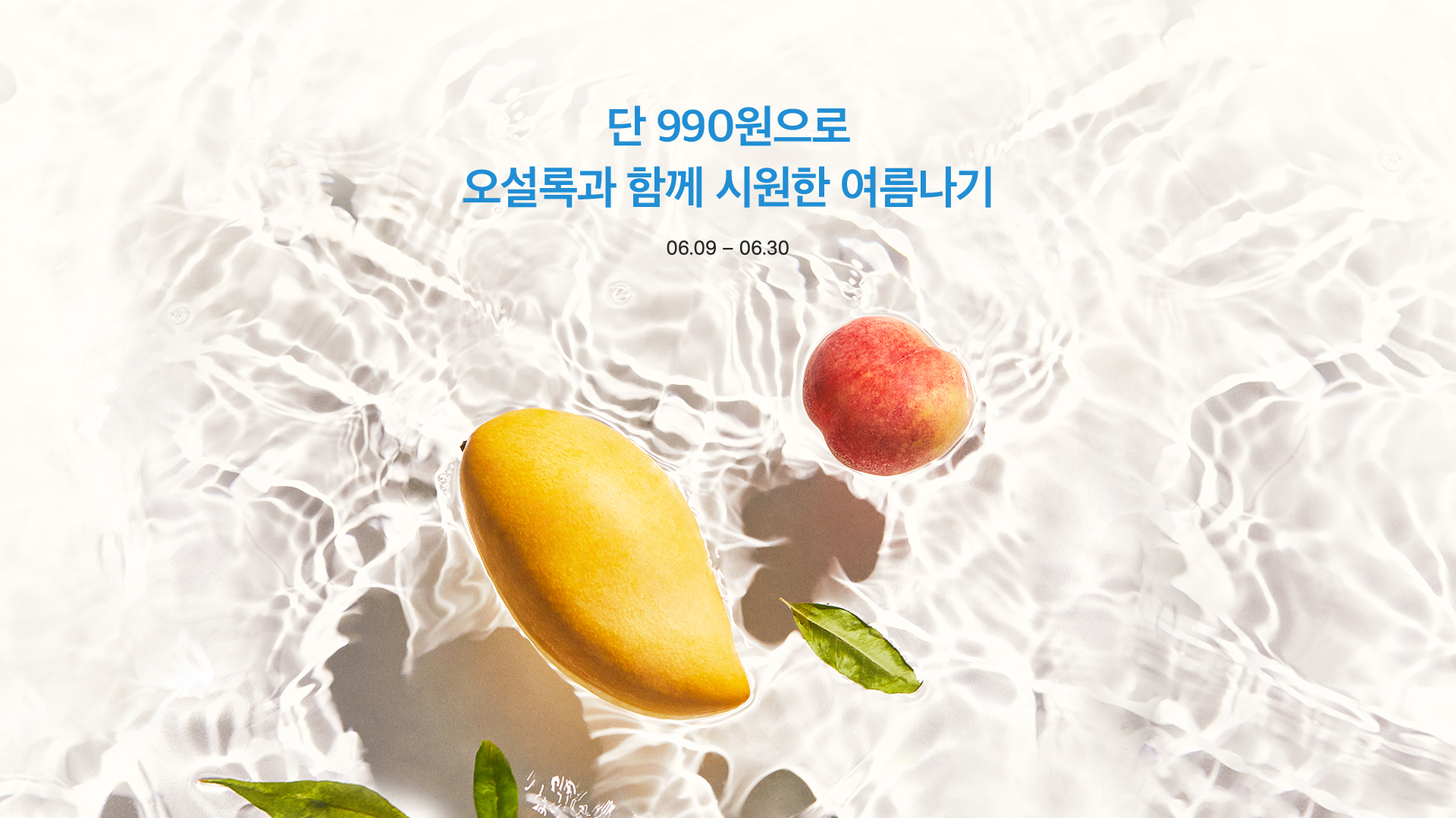 단 990원으로 오설록과 함께 시원한 여름나기