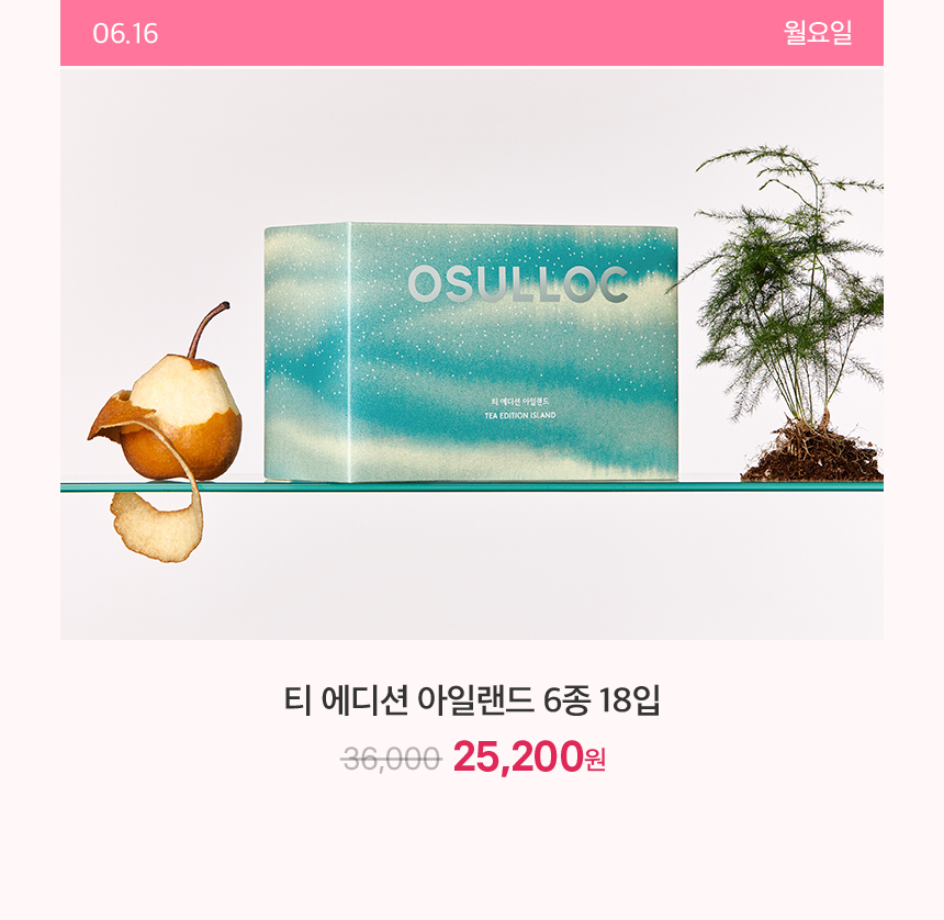 6월 16일 월요일 하루특가