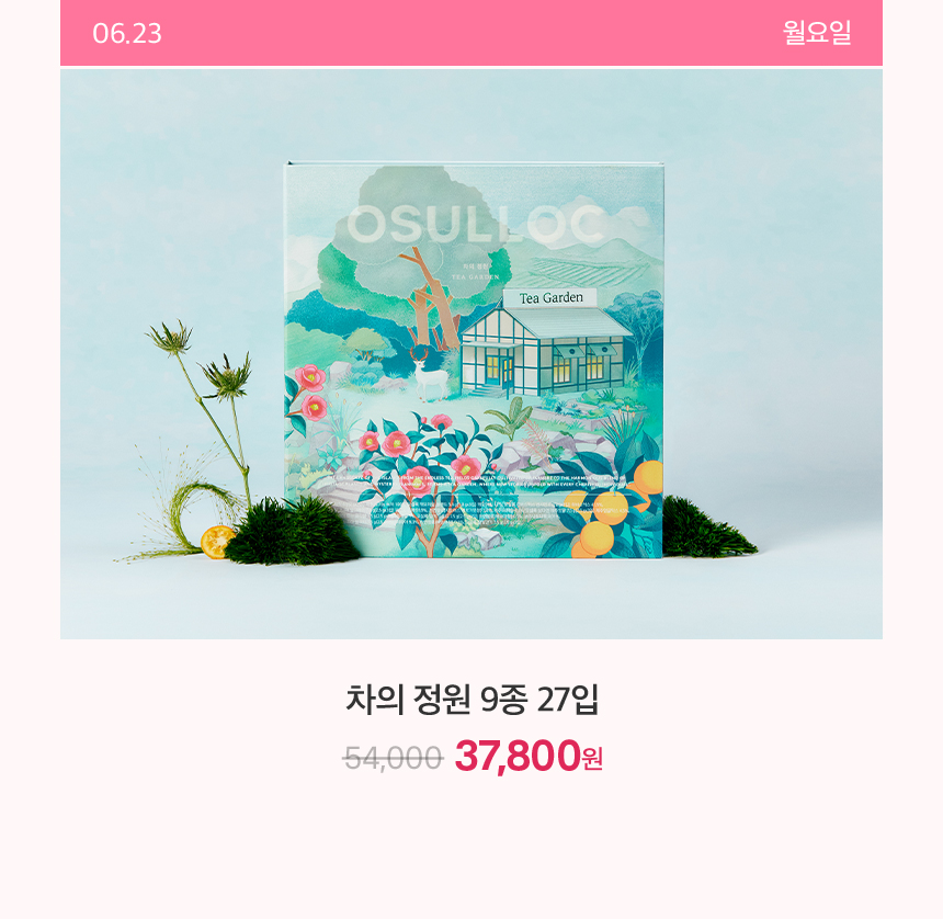 6월 23일 월요일 하루특가
