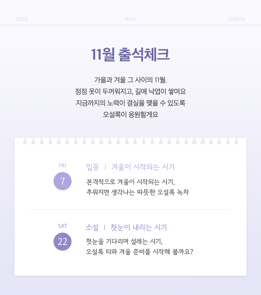 11월 출석체크