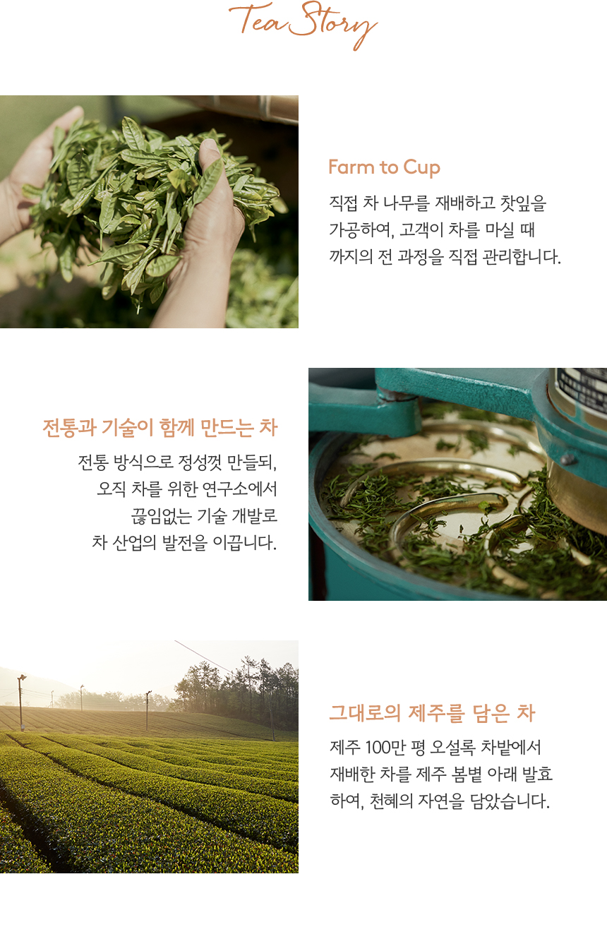 Tea Story