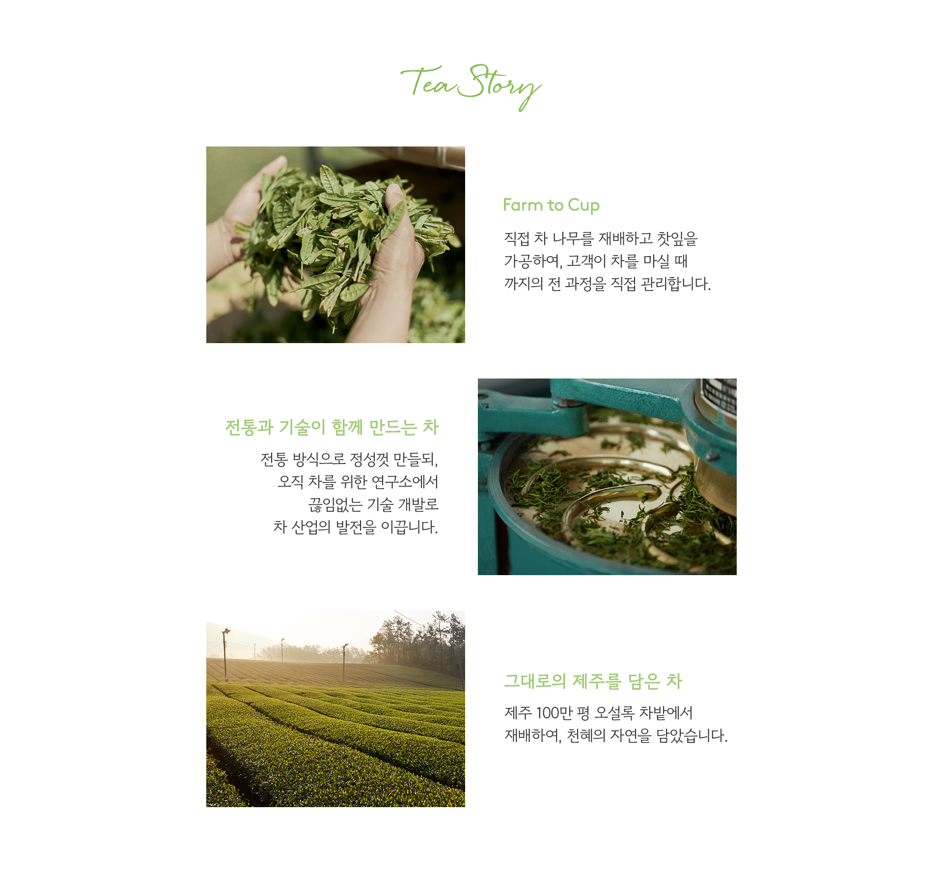 Tea Story