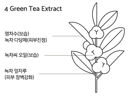 4 Green Tea Extract