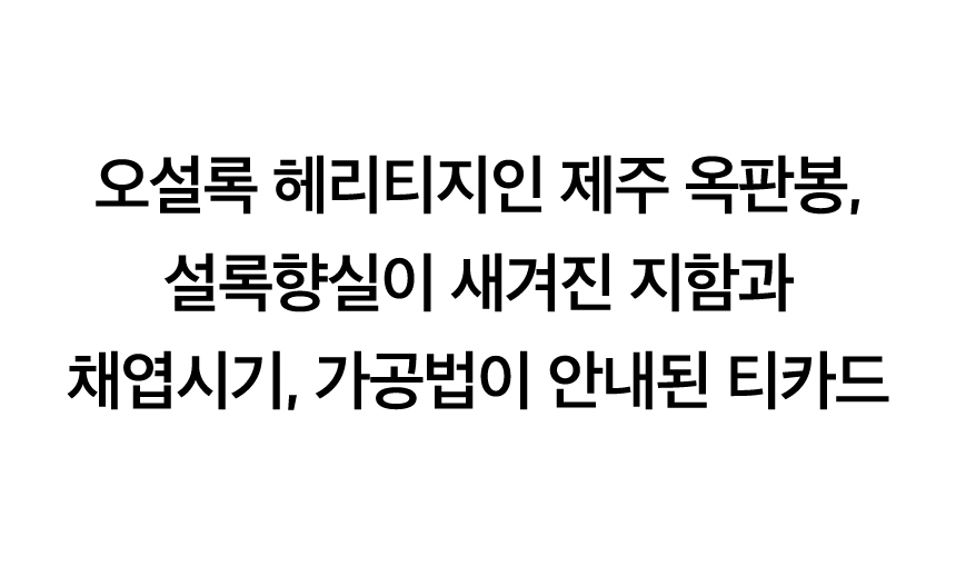 마스터즈 세트 Key Points