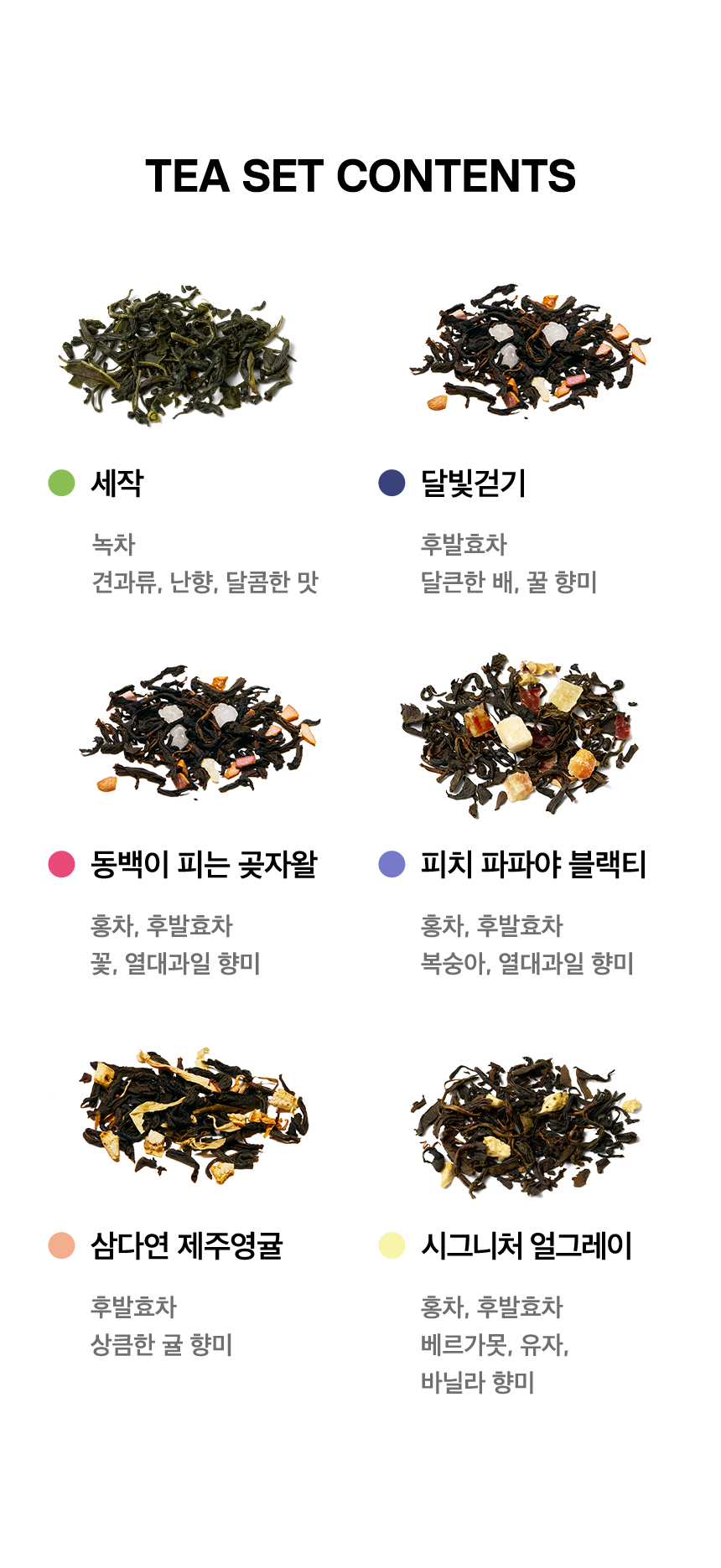 티 에디션 카멜리아 TEA SET CONTENTS