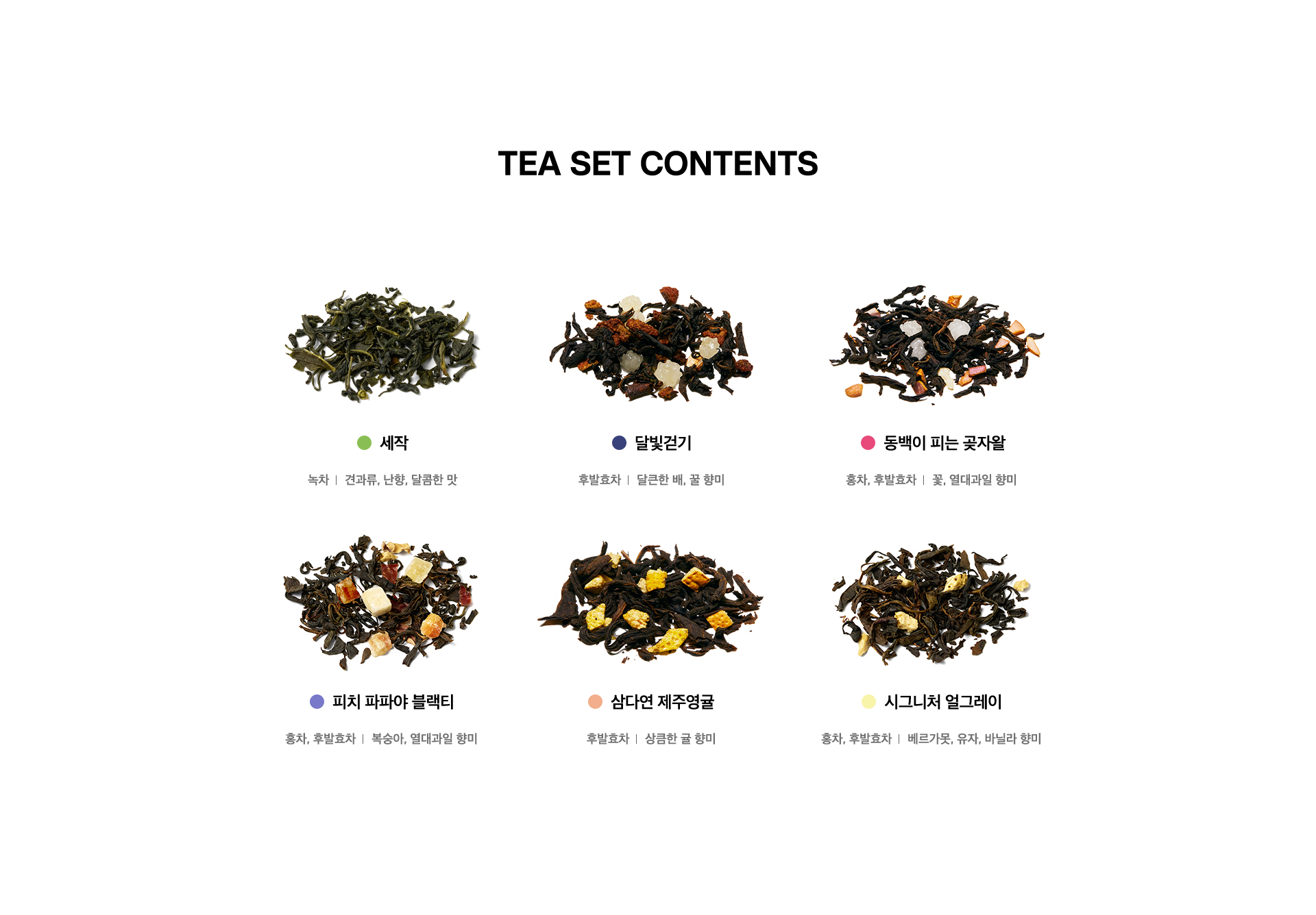 티 에디션 카멜리아 TEA SET CONTENTS