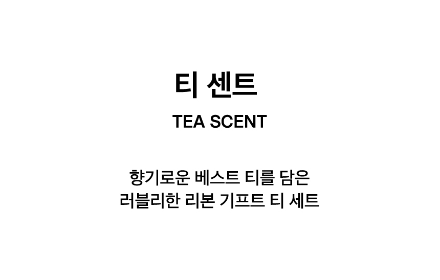 티 센트 6종 24입 | 오설록