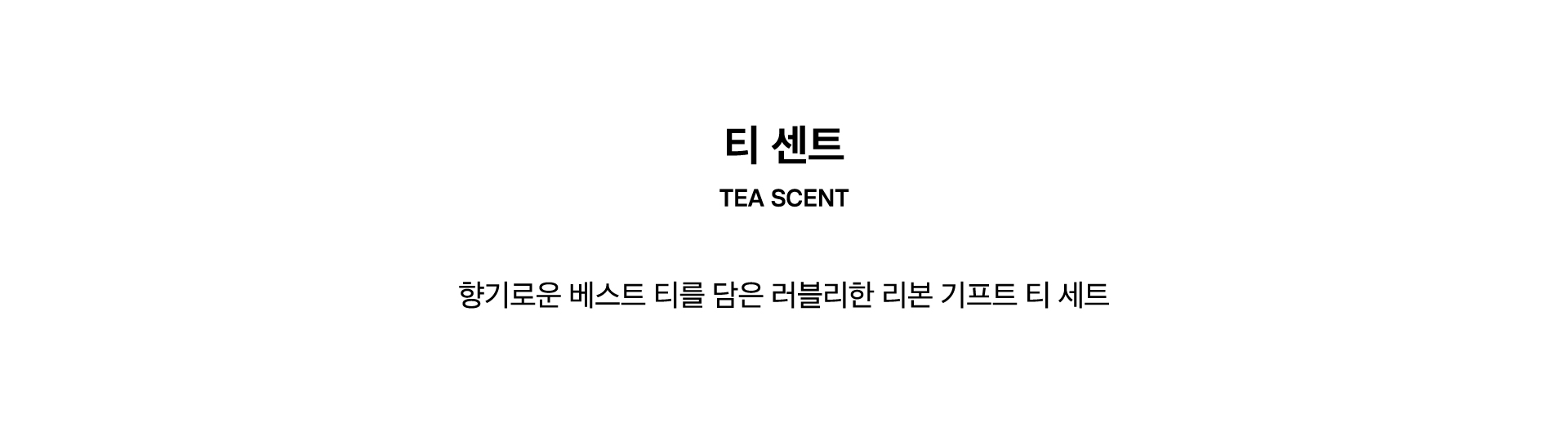 티 센트 6종 24입 | 오설록