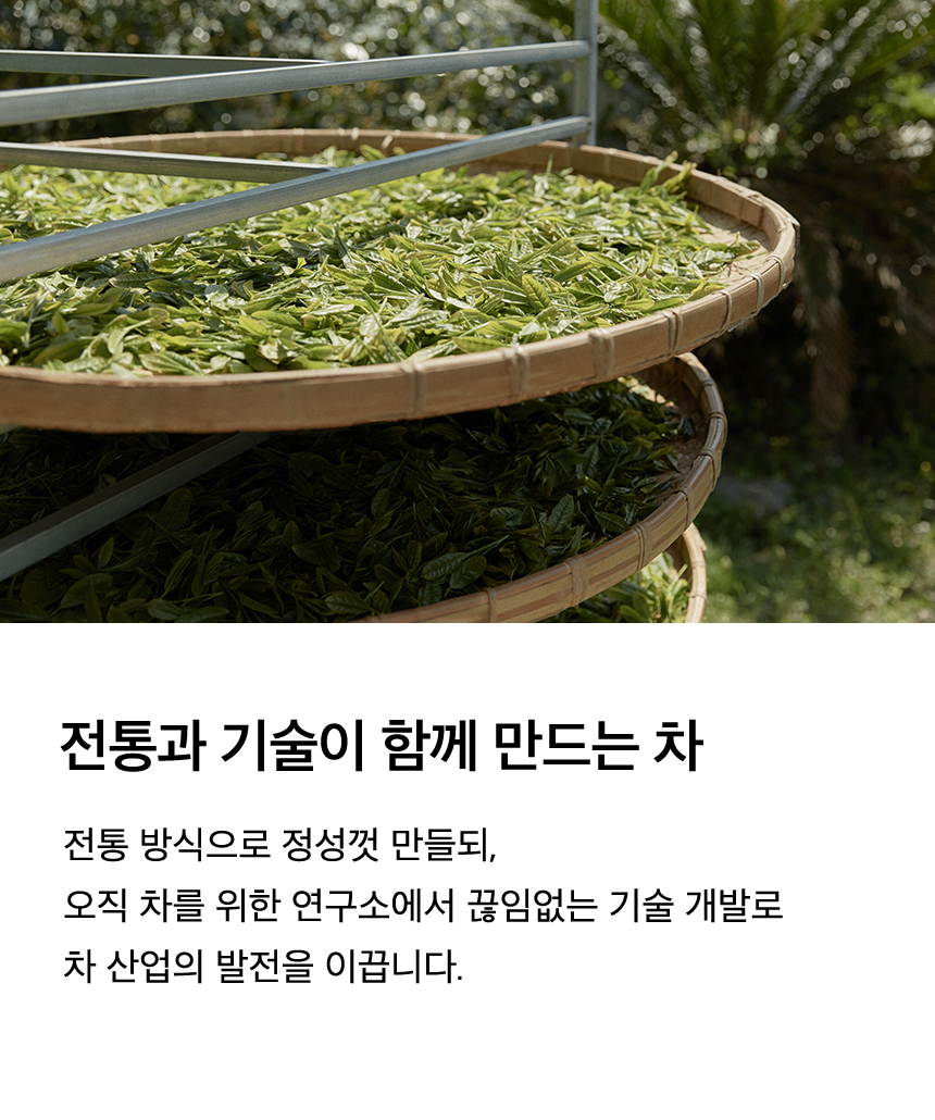 OSULLOC TEA STORY