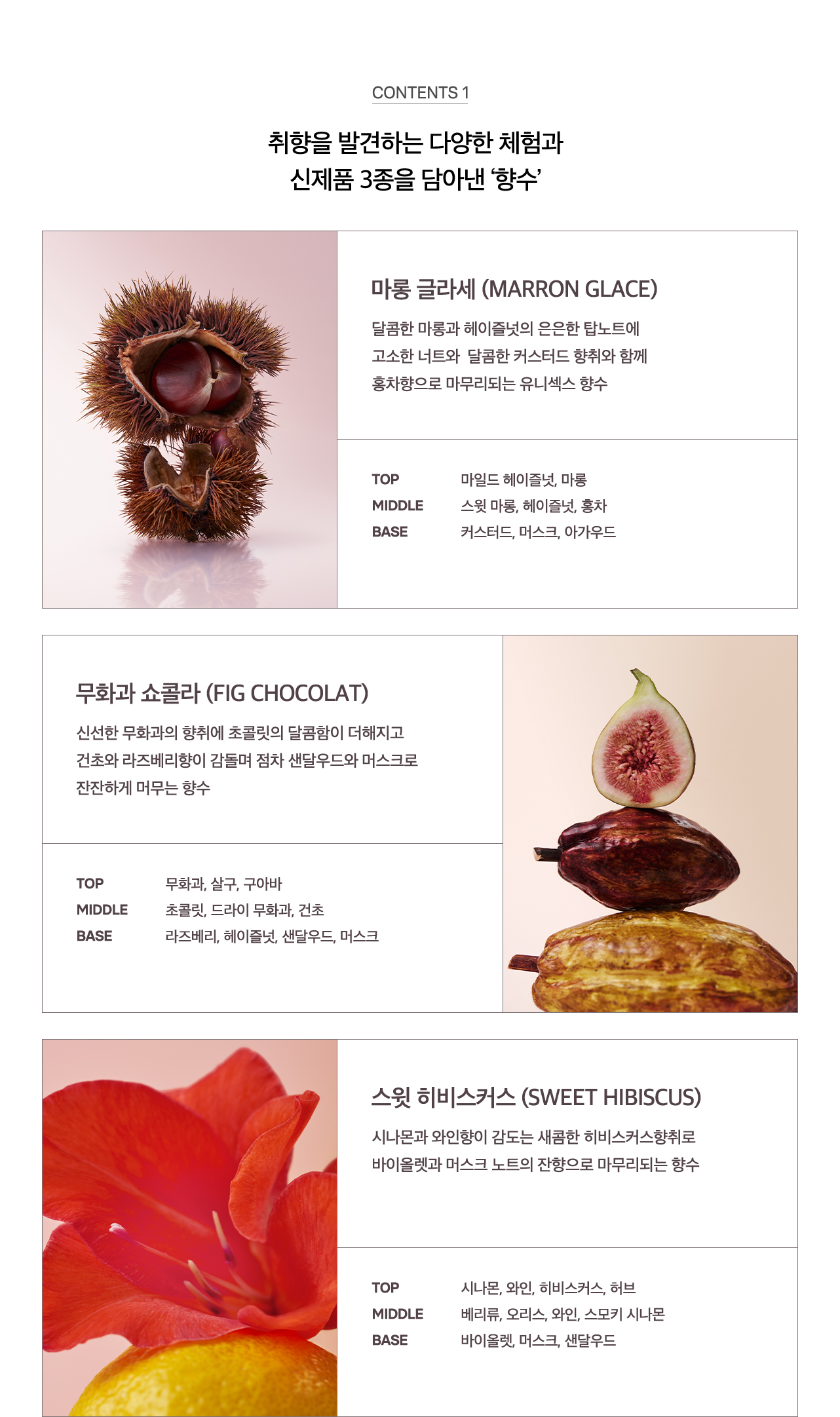 오설록 취향가든 Contents